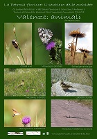 image08