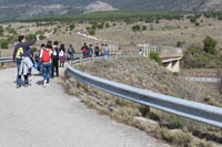 image11