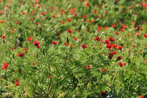 image01