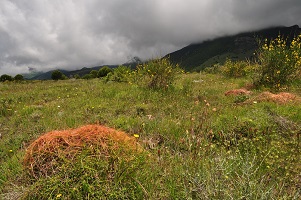 image10