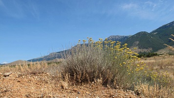 image12