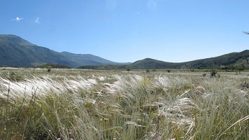 image14