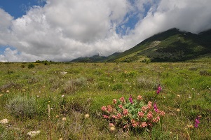 image16