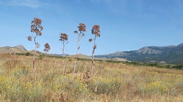 image19