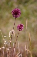 image02