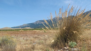 image03