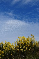 image32