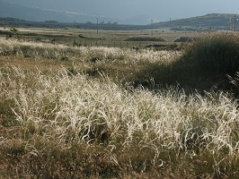 image35