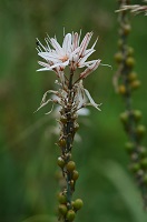 image04