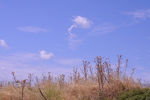 image05