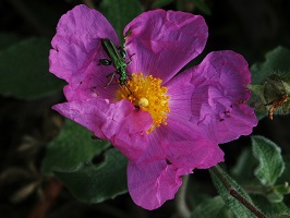 image06