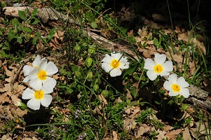 image08